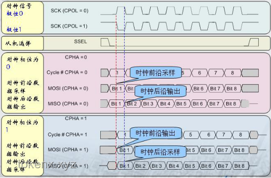 从零开始制作一个属于你自己的GPU：深入探索基于FPGA的图形加速器实现原理